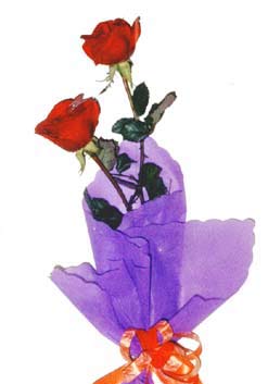 Red Lover - Two red roses with the beautiful paper. This sweet and passionate bouquet of red blooms expresses your true emotions.<br><br>Code:156-7416-156-0000096796